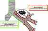 <a href="aktualnoscinajnowsze-informacje-o-prowadzonych-projektach/radioterapia-stereotaktyczna-nieoperacyjnego-centralnie-zlokalizowanego-ndrp-wyniki-badania-eortc-22113-08113-lungtech-phase-ii" target="_self">Radioterapia stereotaktyczna nieoperacyjnego, centralnie zlokalizowanego NDRP- wyniki badania EORTC 22113-08113 LungTech phase II</a>